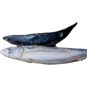 Frozen Fish Titus - 1kg