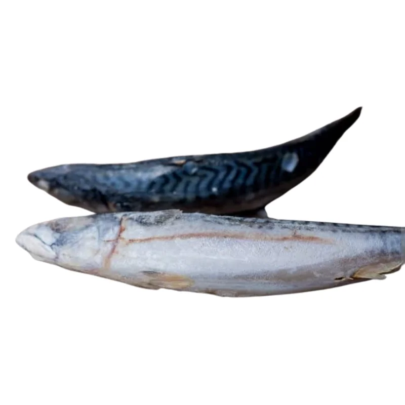 Frozen Fish Titus - 1kg