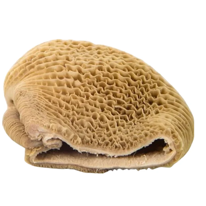 Fresh Honeycomb Beef Tripe - Shaki for Soups & Stews - 1 kg