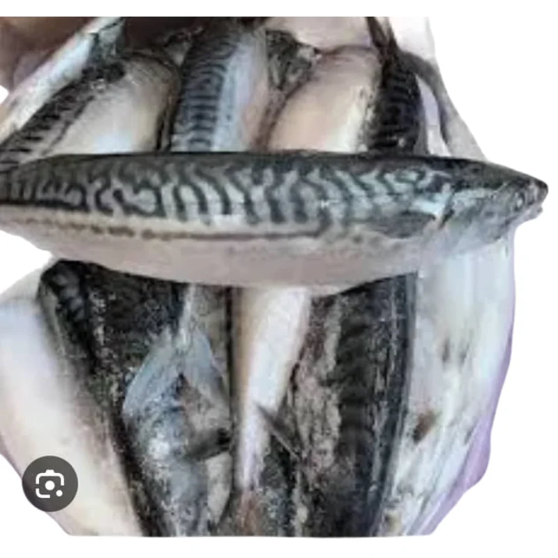 Frozen Fish Titus - 1kg 1