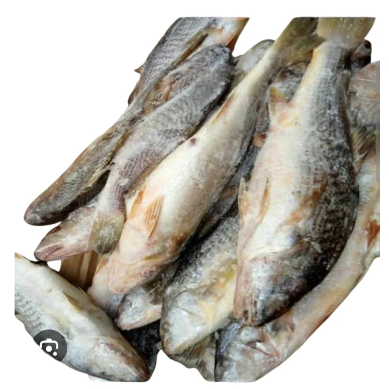 Premium Fresh Frozen Croaker Fish (1 kg) - Ideal for Grilling & Frying1