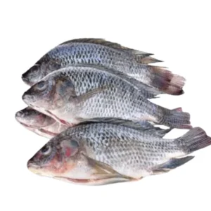 Fresh Frozen Premium Tilapia Fish (1 kg ) - Versatile & Delicious