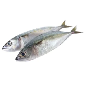 Fresh Atlantic Mackerel Fish (1 kg ) - Rich in Omega-3 & Flavorful