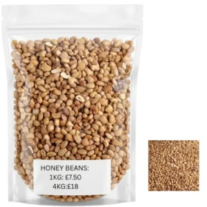 Premium Nigerian Honey Beans (Oloyin) – Naturally Sweet & Nutrient-Rich