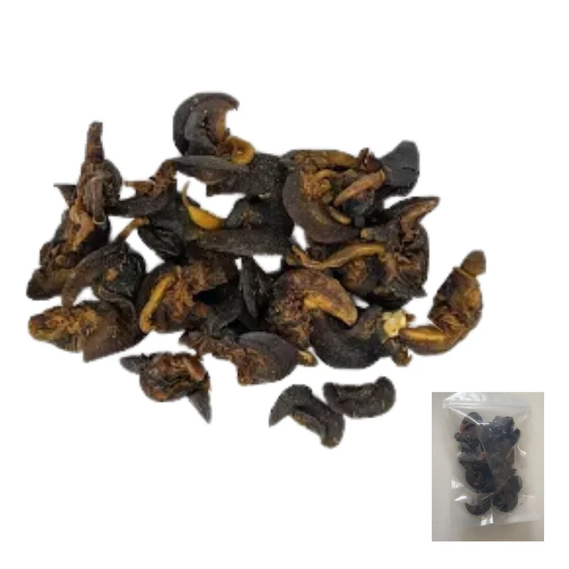 Dried Giant African Snail – Cleaned, Oven-Dried & Protein-Rich Delicacy - 8 Pieces - Image 2