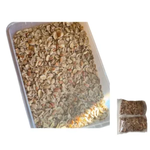 Whole Ogbono Seeds – 100% Natural Wild Mango Kernels for Thickening Authentic African Soups