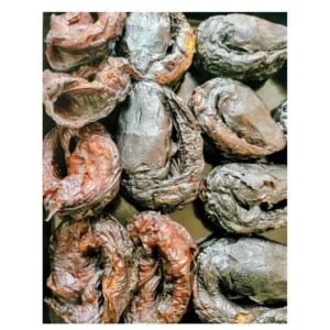 Dried Round Catfish UK